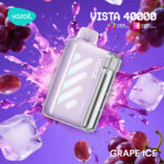 Vozol Vista 40000 Grape Ice