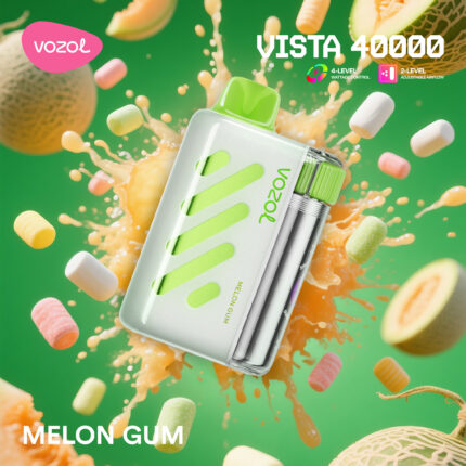 Vozol Vista 40000 Melon Gum