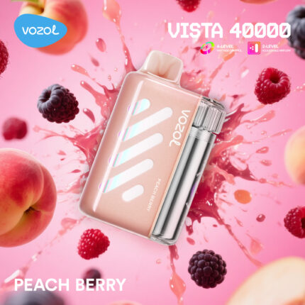 Vozol Vista 40000 Peach Berry